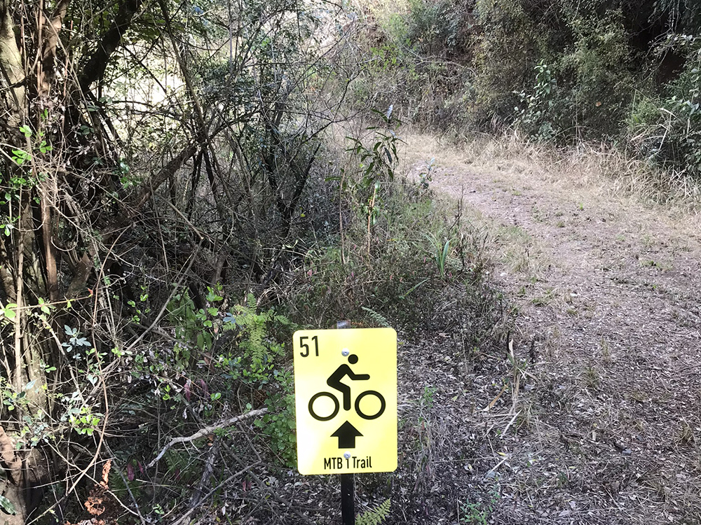 MTB 1 Trail (14)