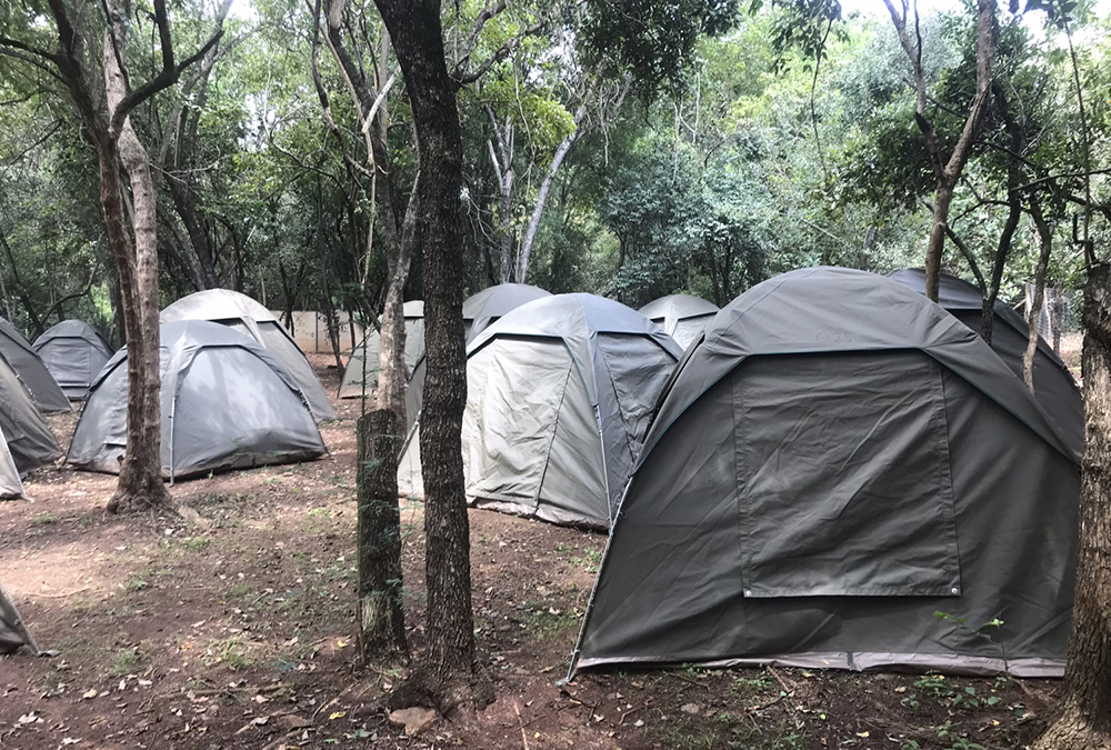 Matumi Bush Camp (1)