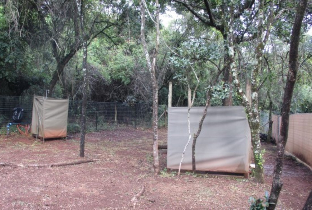 Matumi Bush Camp (15)