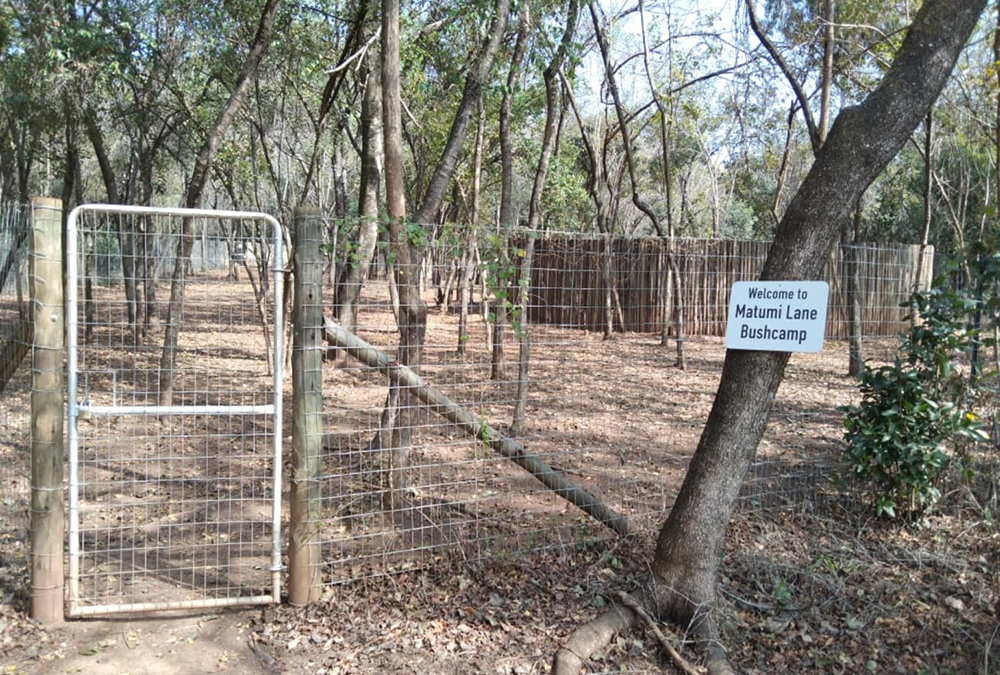 Matumi Bush Camp (16)
