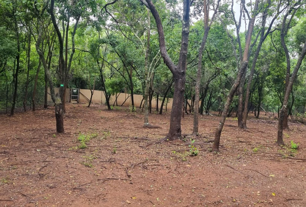 Matumi Bush Camp (17)