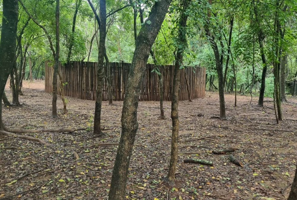 Matumi Bush Camp (18)