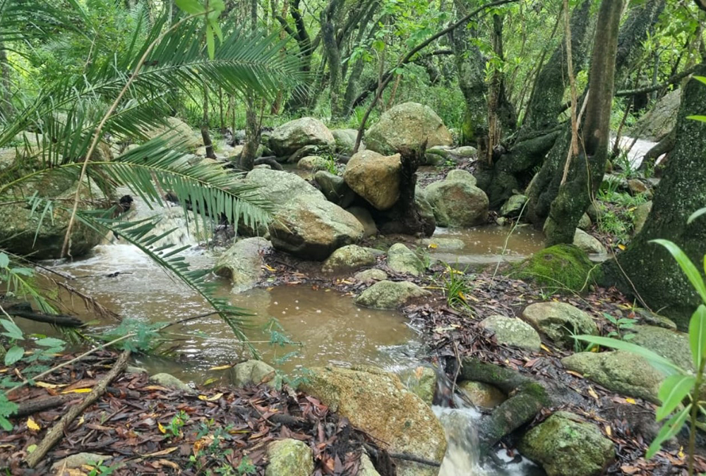 Matumi Bush Camp (19)