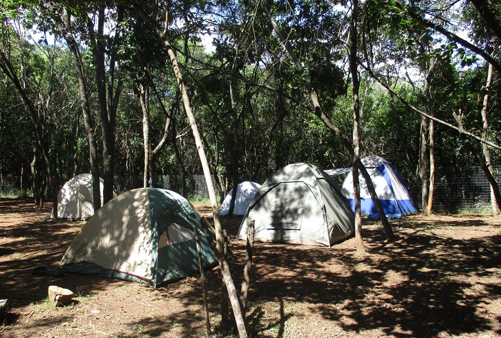 Matumi Bush Camp (1)_renamed_5952