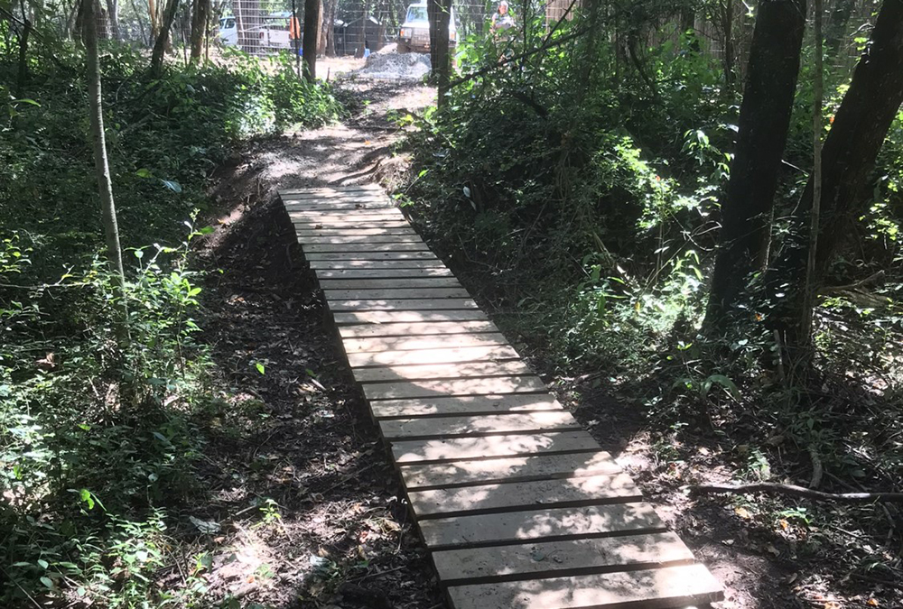 Matumi Bush Camp Cabin (1)