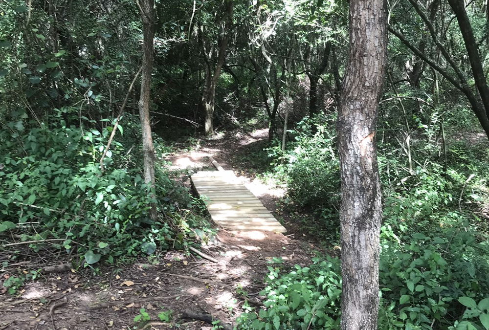 Matumi Bush Camp Cabin (2)