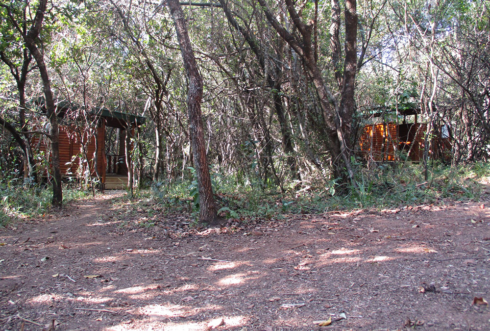 Matumi Bush Camp Cabin (4)