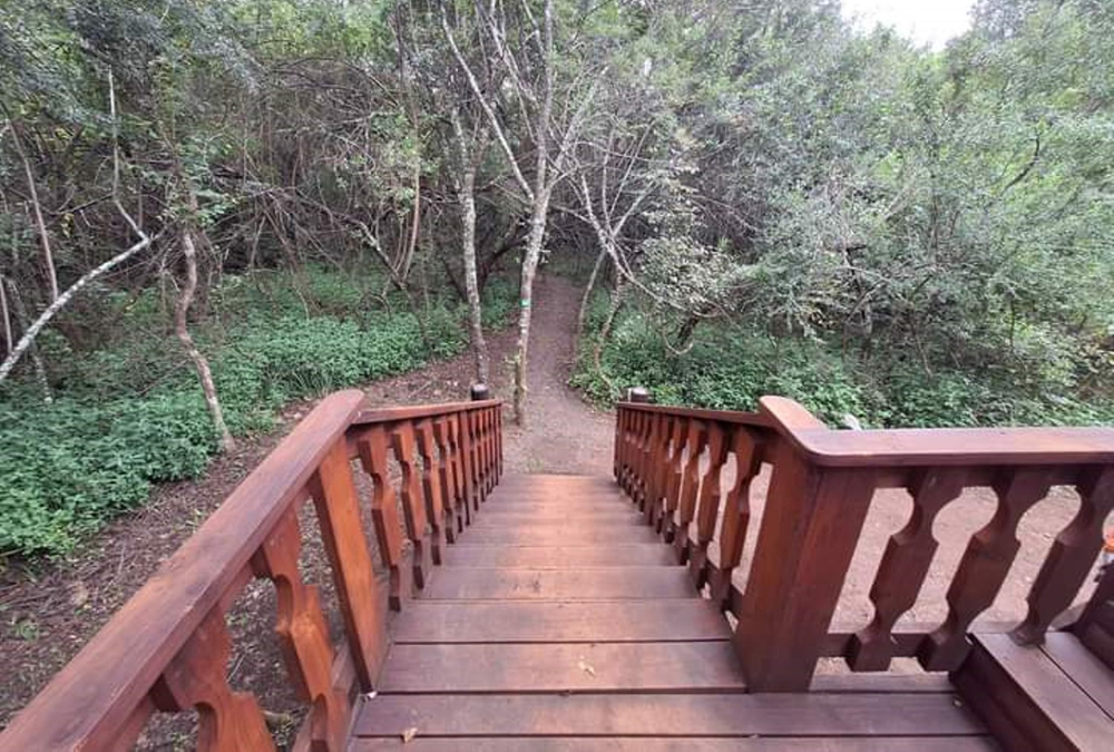 Matumi Bush Camp Cabin (7)